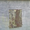 Siding