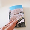 Mon Petit Livre D'Amour