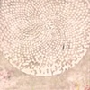 Center