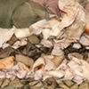Landscape detail 2009