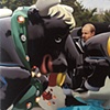 Bull