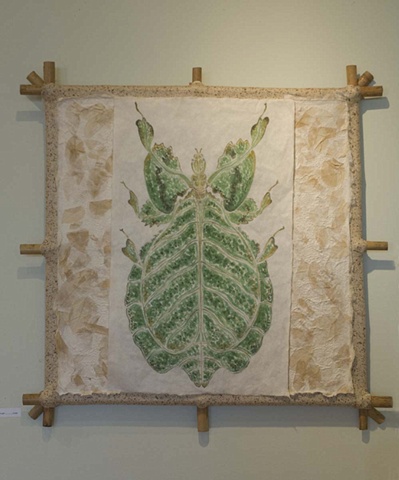 Leaf Insect