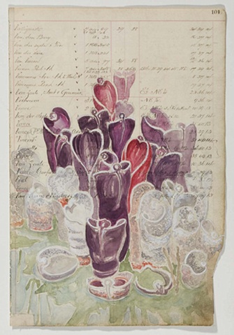 Helioamphora