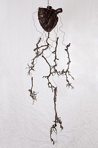 Bronze - Biology Of Transcendence