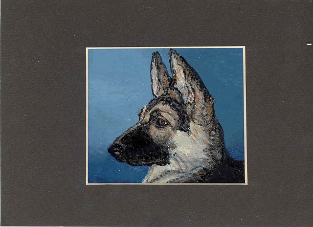 german shepard profile