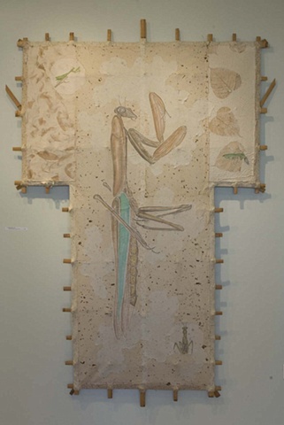 Preying Mantis