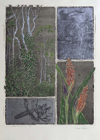 Flora