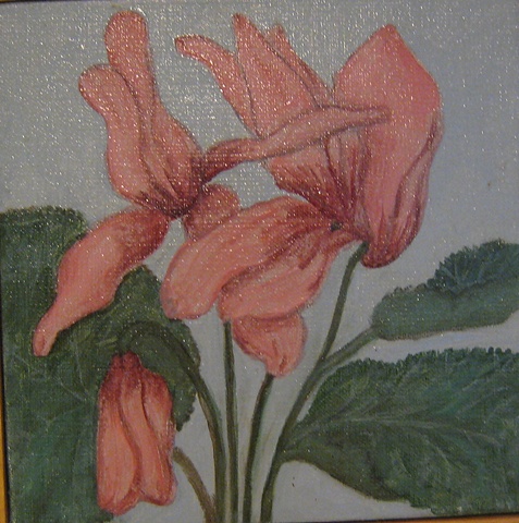 Pink Flowers
