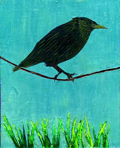 Bird on Wire