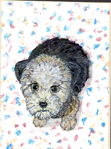 wheaton terrier puppy