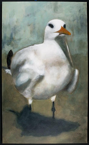 birds