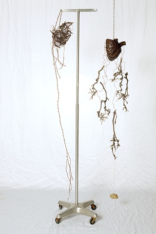 Bronze-Biology Of Trancendence