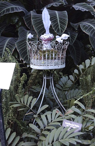 Biophilia
