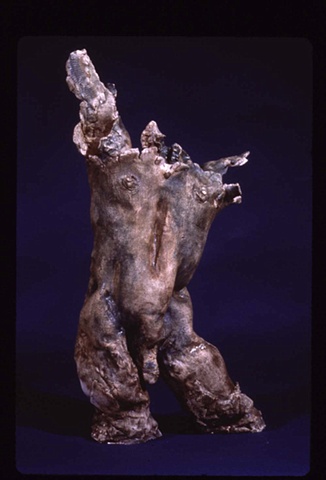 Sole Torso