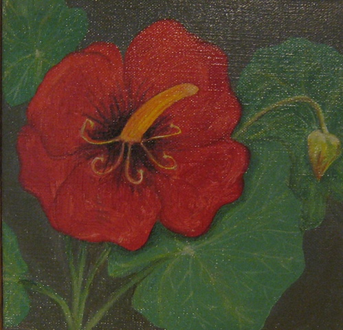Red flower