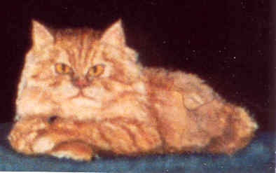cat2