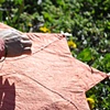 grounded kite