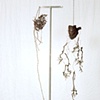 Bronze-Biology Of Transcendence