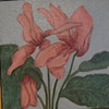 Pink Flowers