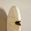 Mouth