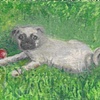pugsley