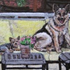 two dogs on couch