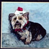 santa dog