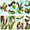 Sharon Bladholm/Opal Glass Studios