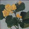 yellow flowers