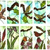 Birds and Flowers