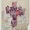 Helioamphora