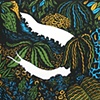 Velvet Worm - Color