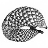 Pangolin