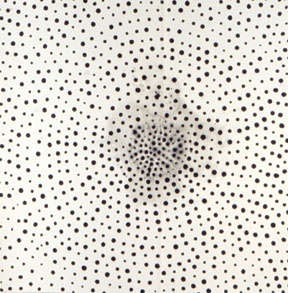 Cosmos