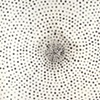 Black Scatter Cosmos on Blanc Field
