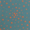 Florescent Orange Cosmos on Slate Gray Field