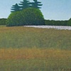 Marcia's Field