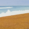 Surfs Up