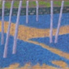 Blue Scilla