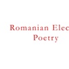 Romanian Electronic Poetry
 by Ioana Bot