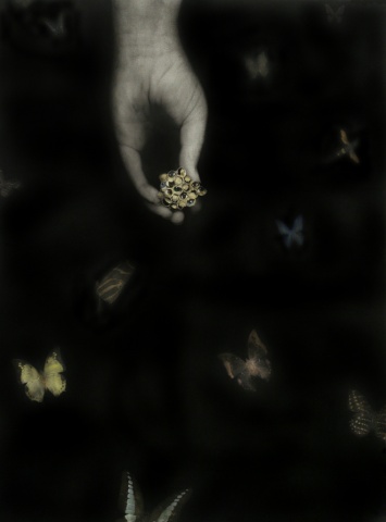 "Eyespots (A Method of Defense)"