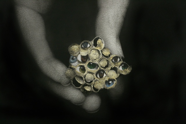 Detail of "Eyespots (A Method of Defense)�