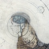 Detail 1 of "Bird Brain Knows"