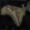 Detail of "Flame"
