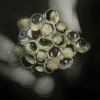 Detail of "Eyespots (A Method of Defense)