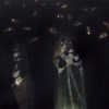 "The Flying Spectators"