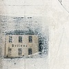 Detail 2 of "Bird Brain Knows"