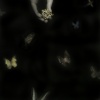 "Eyespots (A Method of Defense)"