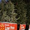 Low Price Christmas Trees