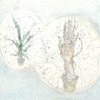 Root Rot
